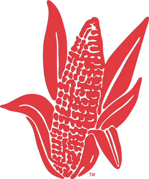 Nebraska Cornhuskers 1962-1973 Alternate Logo diy fabric transfer